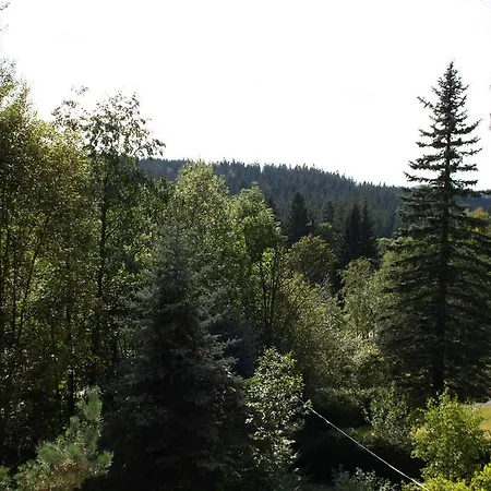 Konvalinka - V Soukromi