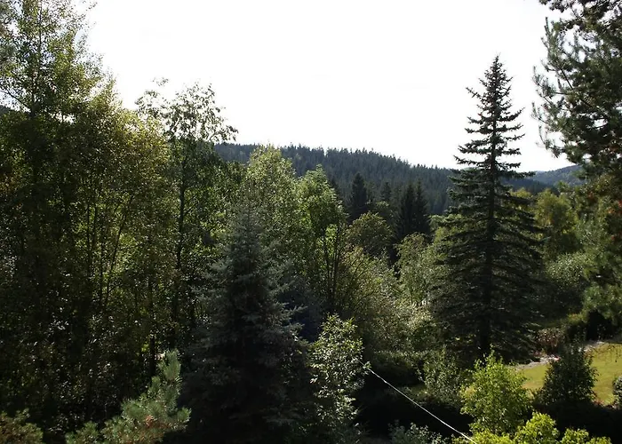 Konvalinka - V Soukromi